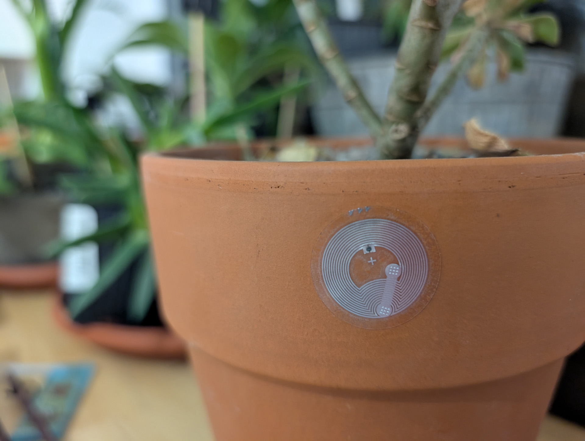 20 smart plant stickers